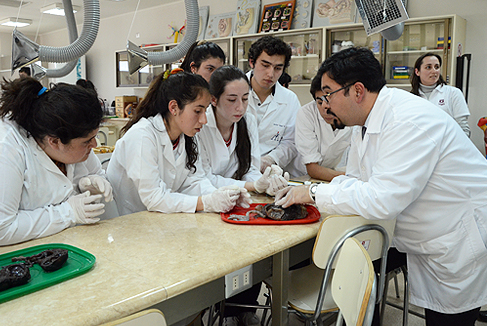 clinica_dic15_utalca