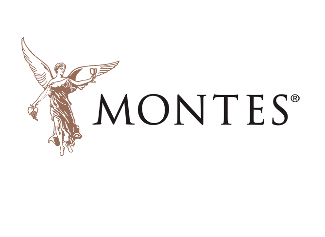 mnt_logo_color
